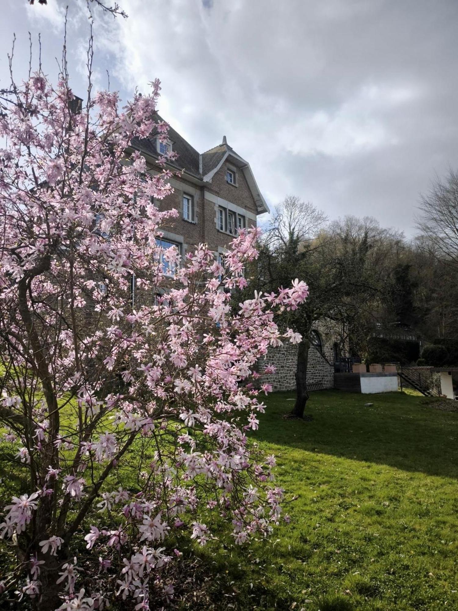 Le Castel Mosan Apartment นามูร์ ภายนอก รูปภาพ